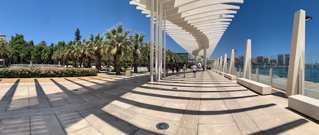 Hafen von Málaga mit Palmen